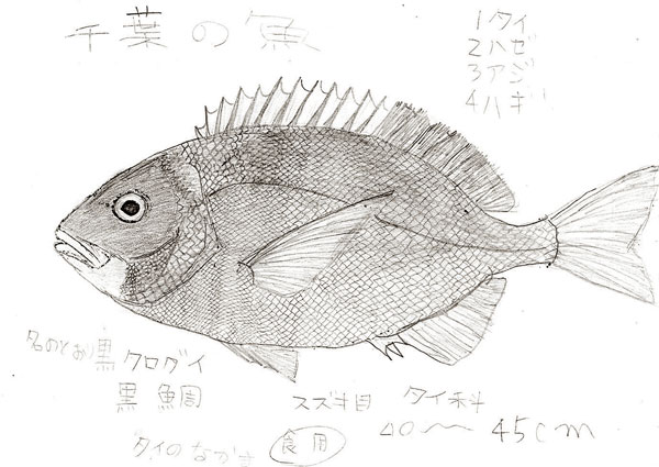 ギョ歳のさかなクン 母はいつも 好き を応援してくれた 小学一年生