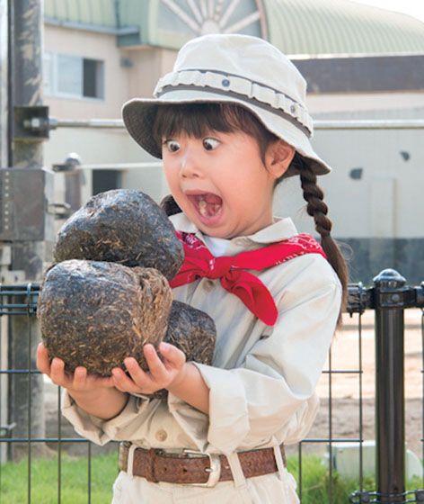 うんこ先生 と学ぶ元気な体と心をつくる大特集 小学一年生 11月号 本誌 小学一年生