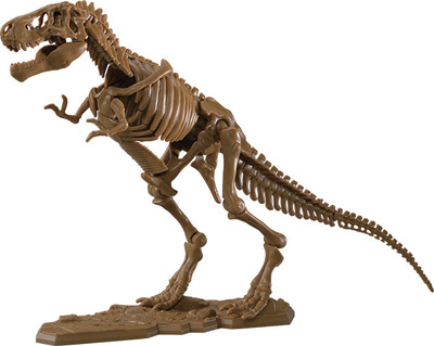 小学８年生 10 11月号付録は ティラノサウルス全身骨格プラモデル 小学８年生
