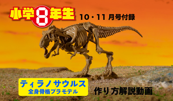 ティラノサウルス全身骨格プラモデル の作り方解説動画公開 小学８年生