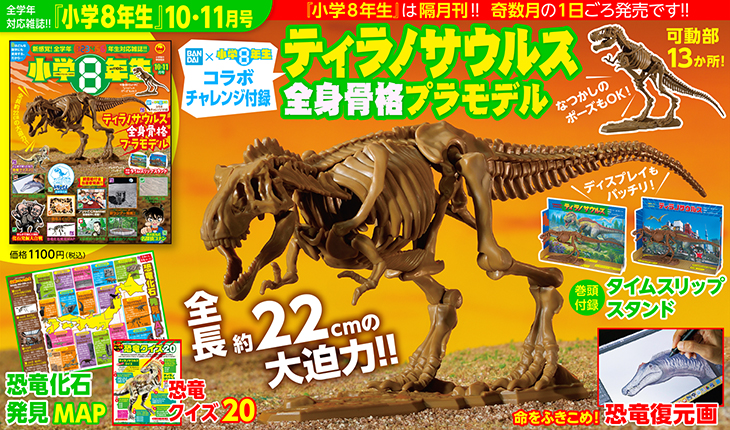小学８年生』10・11月号付録は「ティラノサウルス全身骨格プラモデル」 | 『小学８年生』