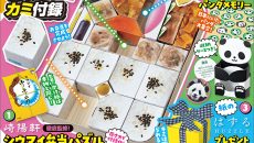 ３大カミ付録と連動特集で楽しく知識を広げよう！『小学８年生』カミ付録よ永遠に！号