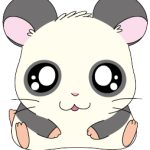 🐹今日はパンダくんのお誕生日🐼　アニメ放送25周年記念イヤー【ABEMAで一挙無料放送！】